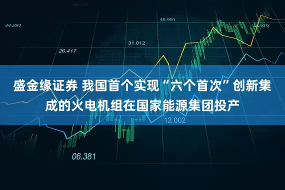 盛金缘证券 我国首个实现“六个首次”创新集成的火电机组在国家能源集团投产